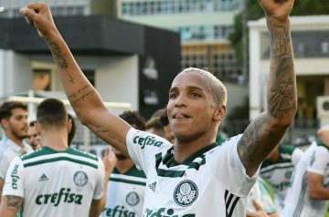 Palmeiras Campeão